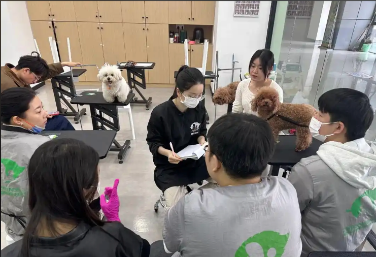承德市宠物美容冠军导师宠物美容培训学校 - 哪里好